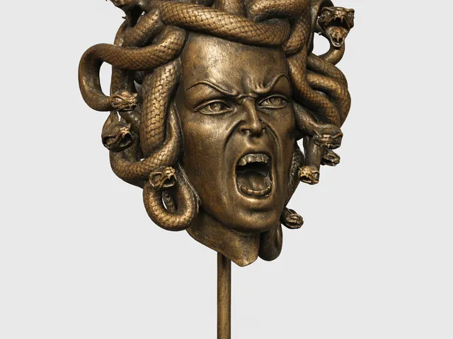 Unique Amazing Large Head Of Medusa