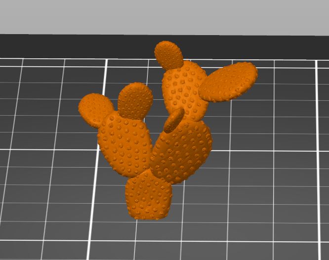 Cactus - - Expansion for Clash for Eternia 3D Nature Set 3D model