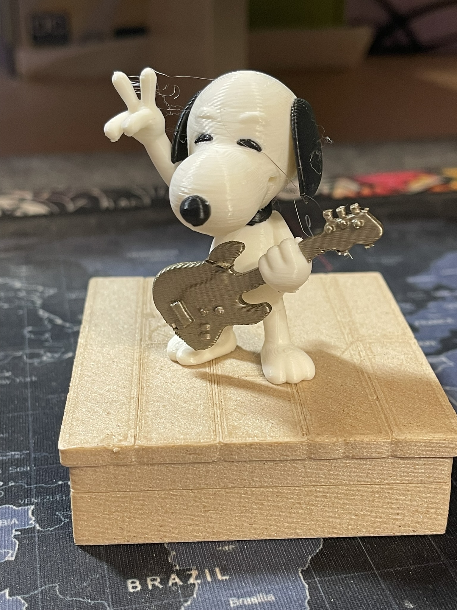Snoopy with guitar - at the Concert