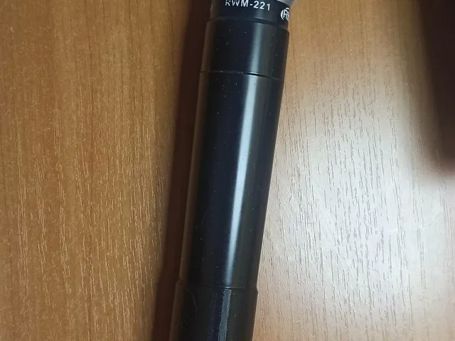 Ritmix RWM221 battery cover
