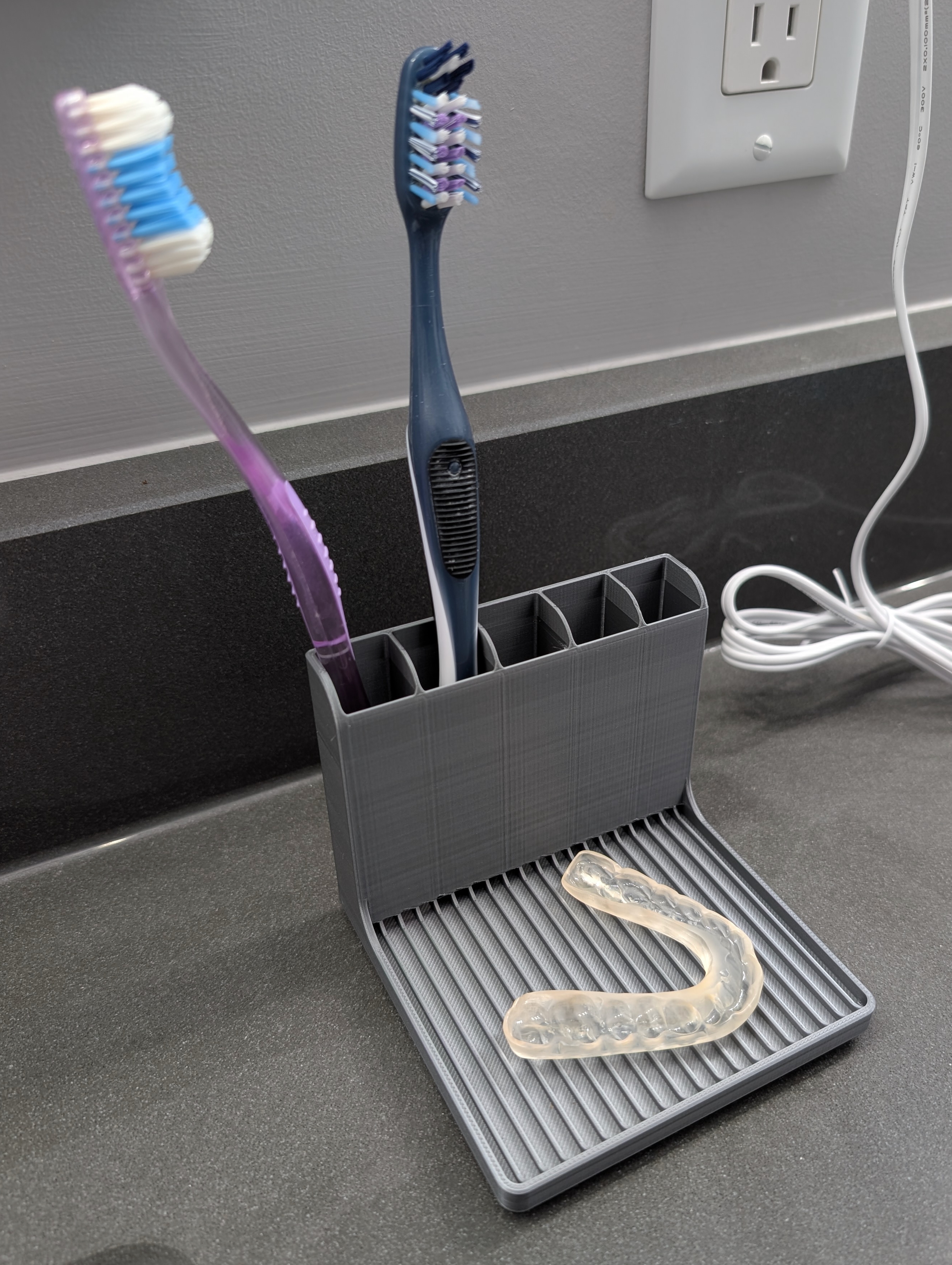 Toothbrush and Bite Guard Holder