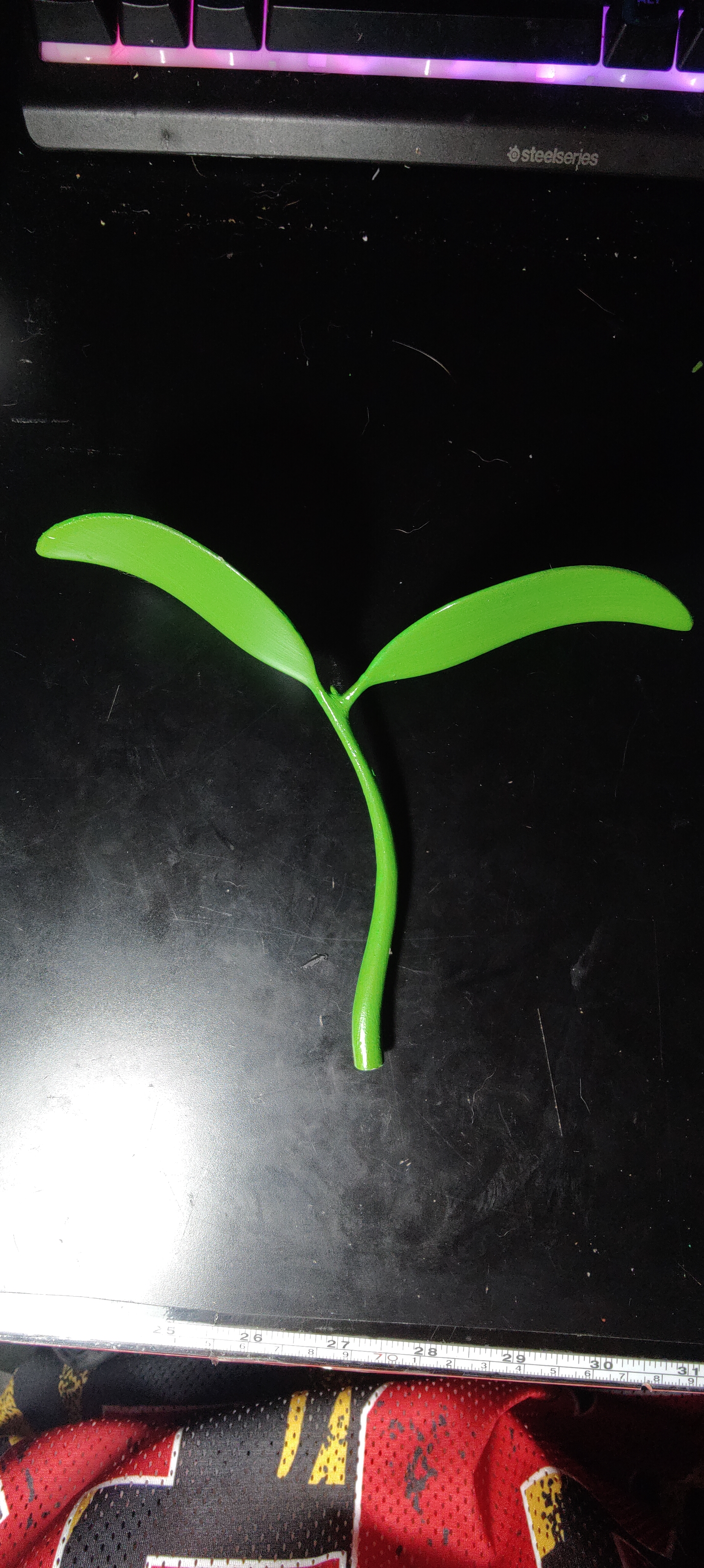 Sprout
