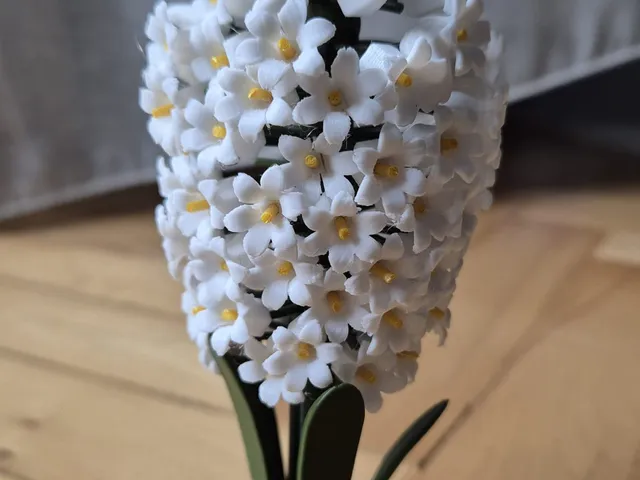 hyacinth