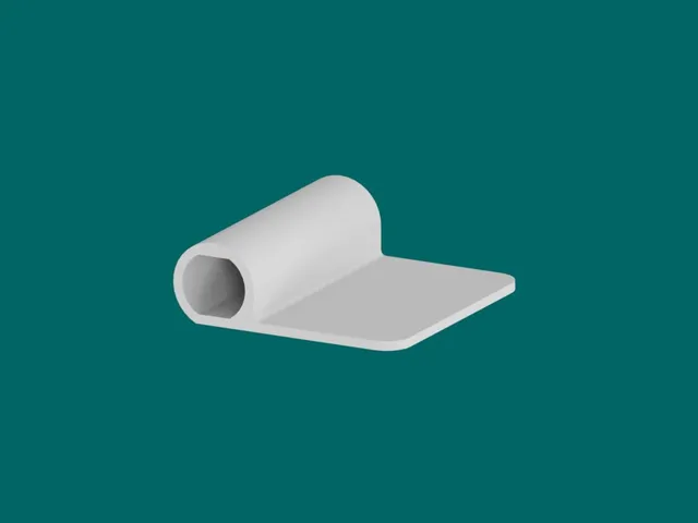 Lamy loop