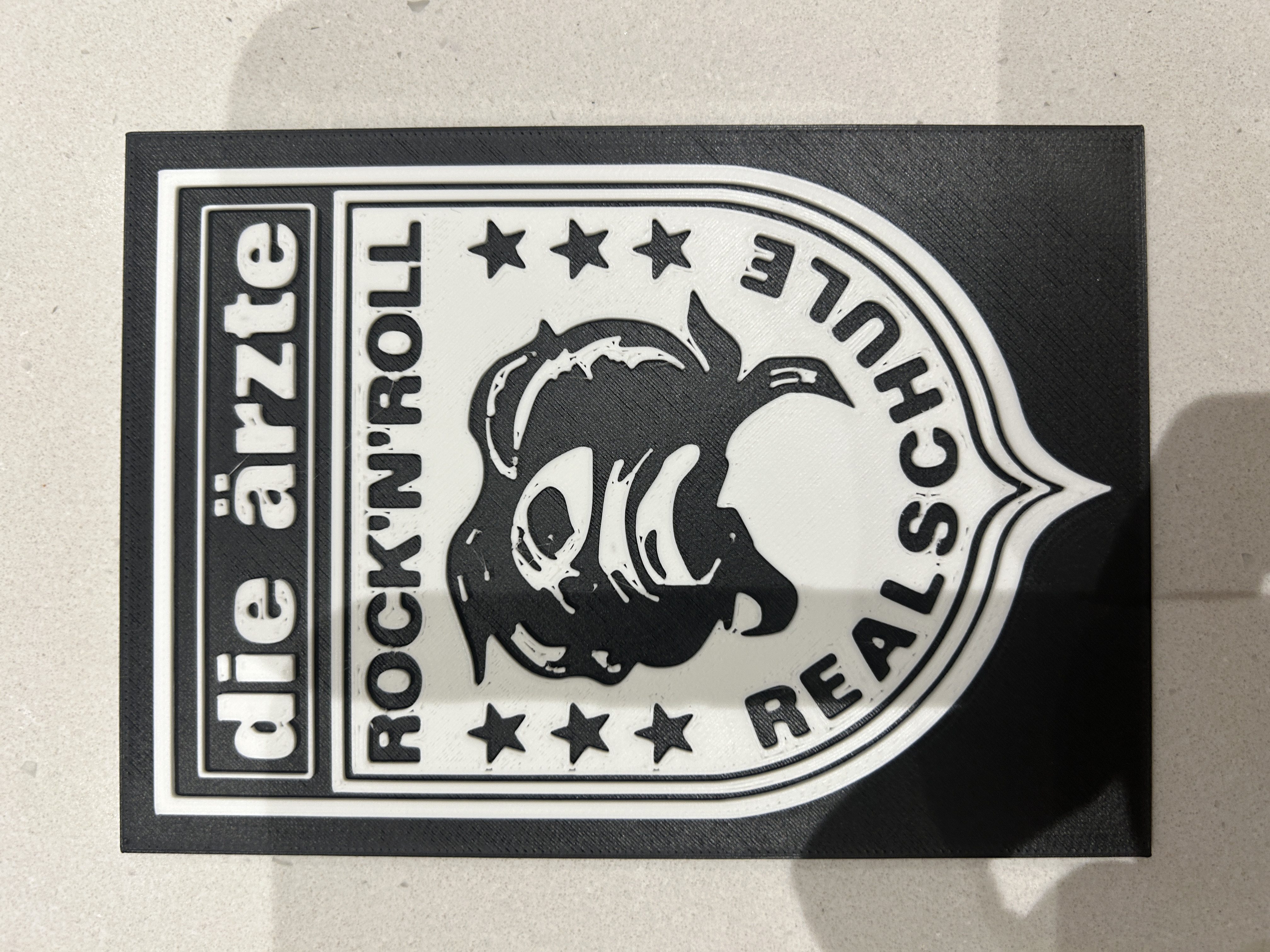 Die Arzte - Rock n Roll Realschule logo