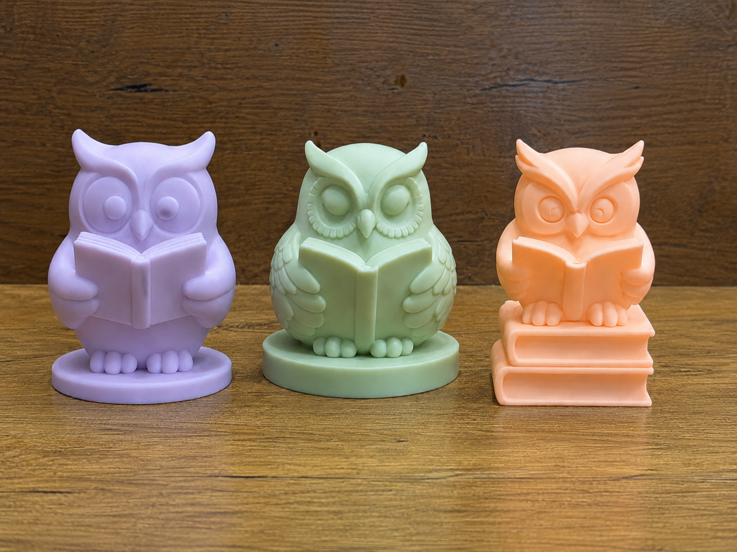 Wise Owl Reading Buddy 3/3