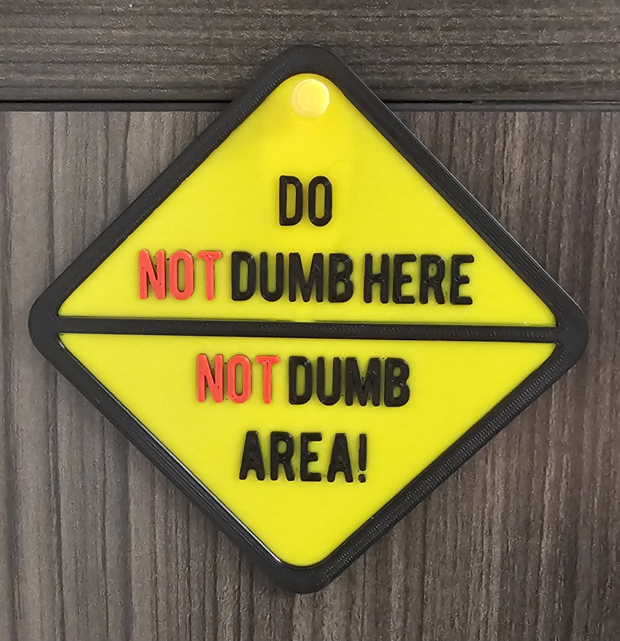 Not Dumb Area