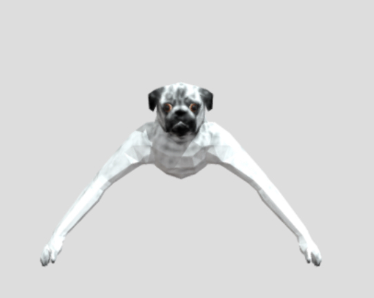 animal company pug