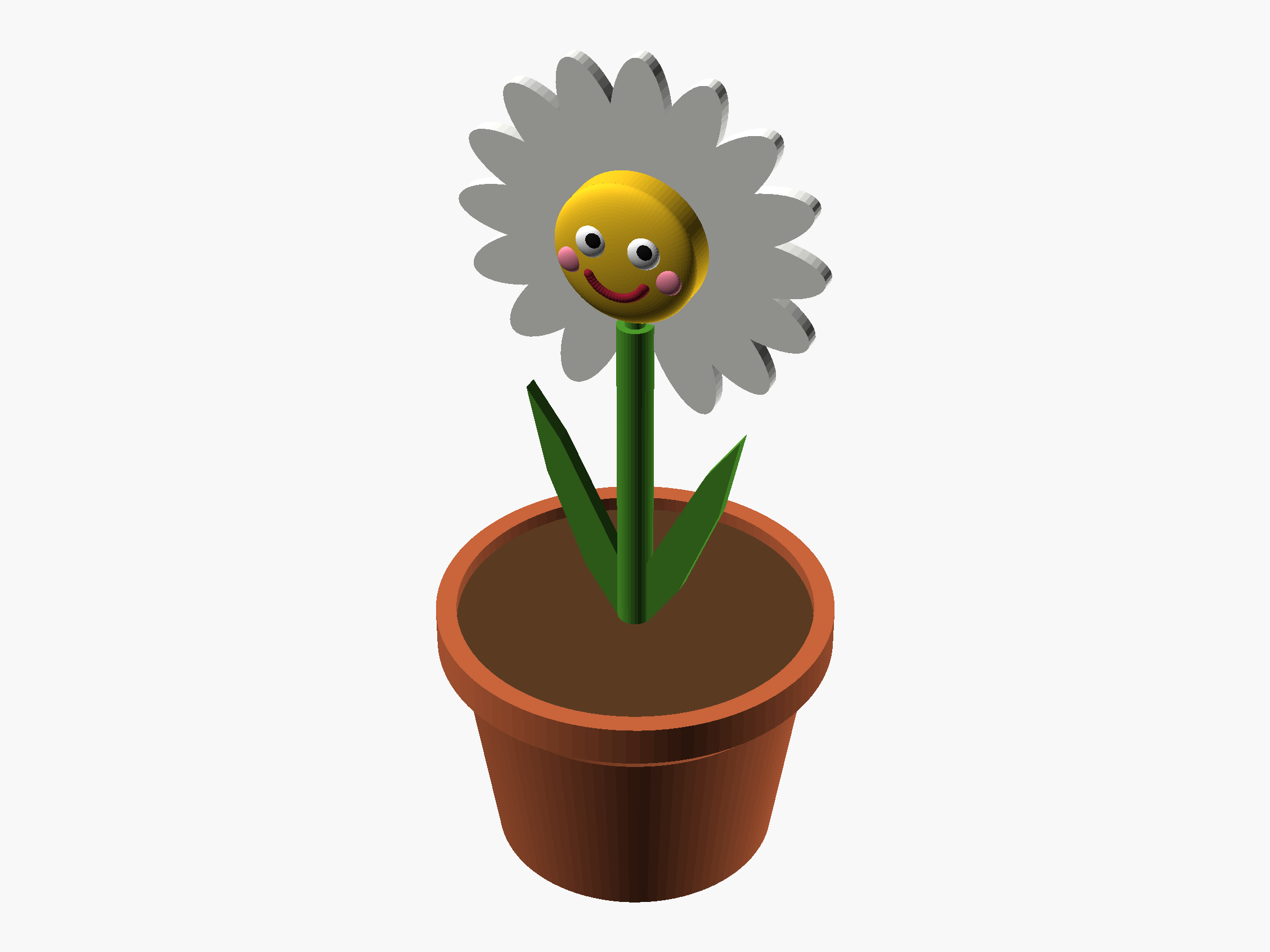 Funny Daisy Pot