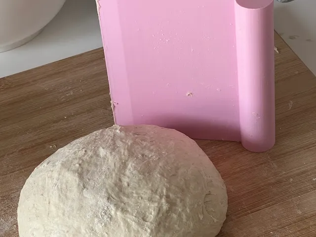 Dough Scrapper/Cutter