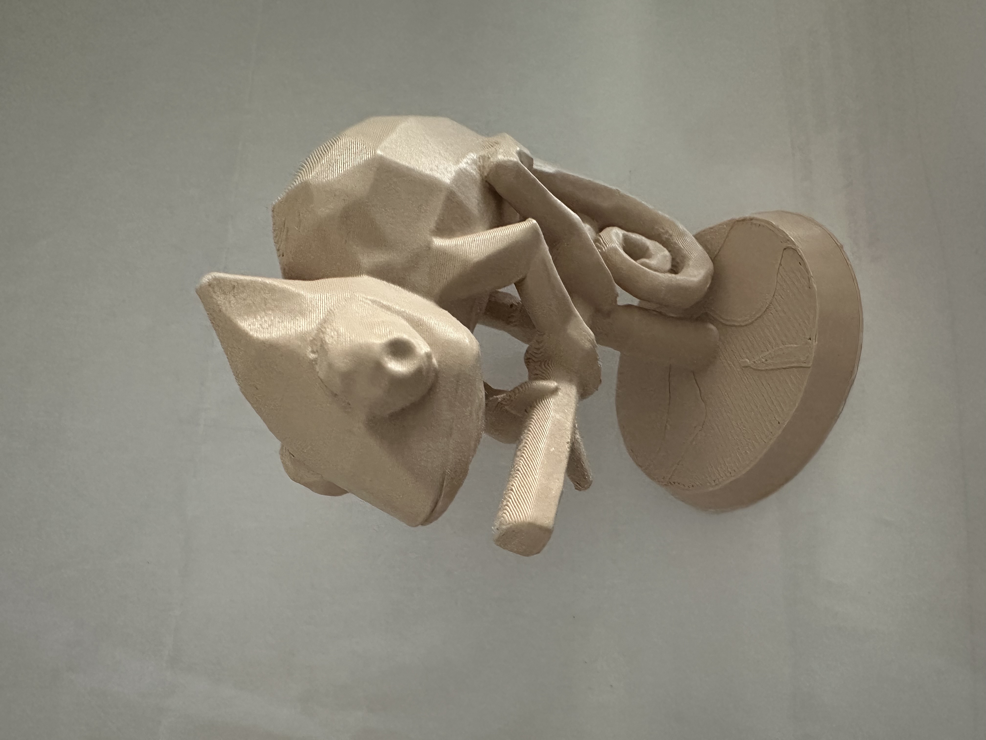 Chameleon — miniatura 2