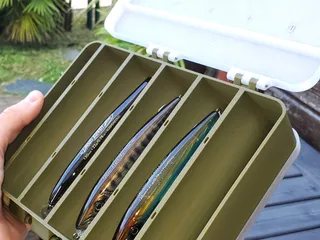 Fishing Lure Box by 3DMadeByLouis | Download STL model | Printables.com