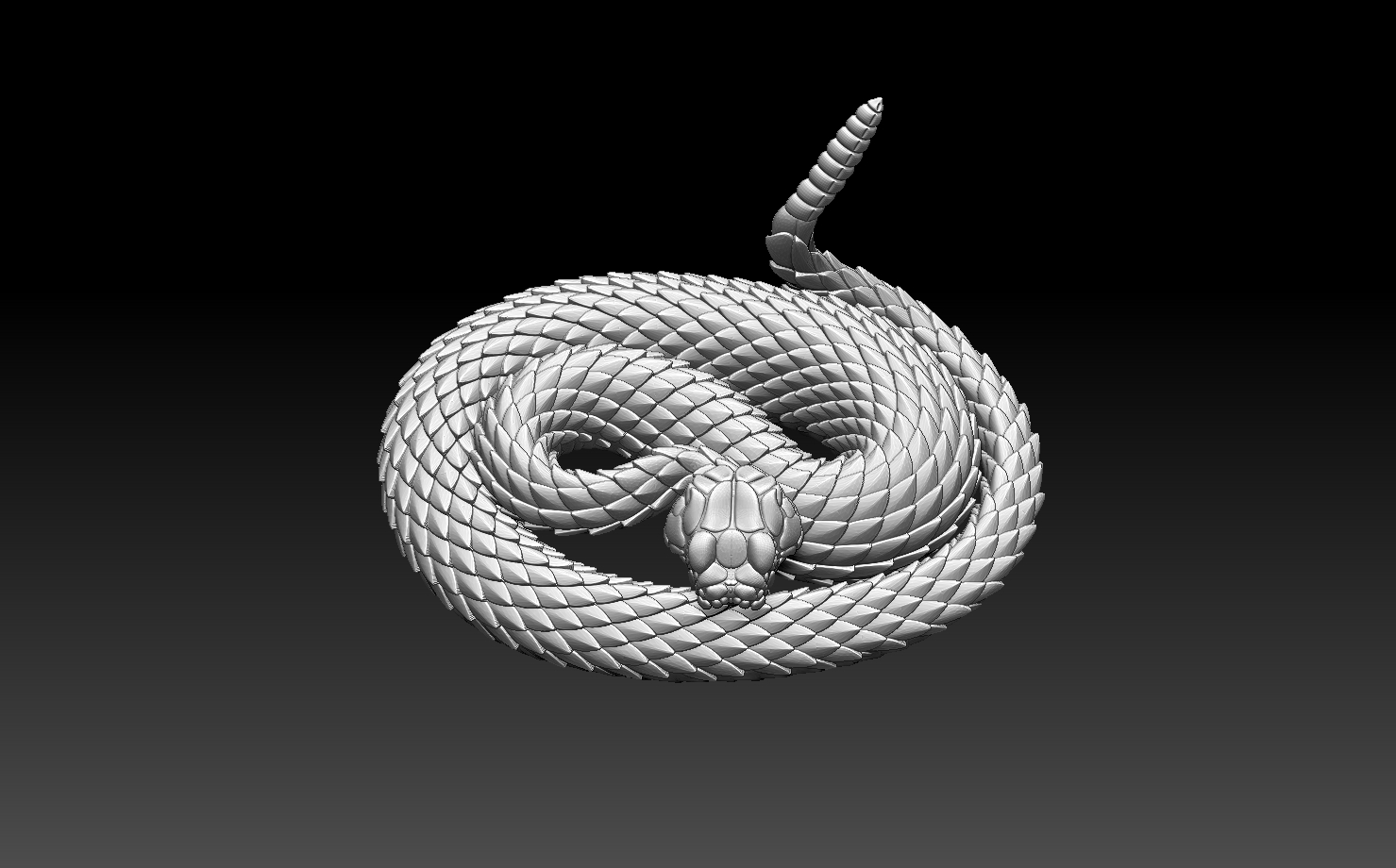 snakes — miniatura 31