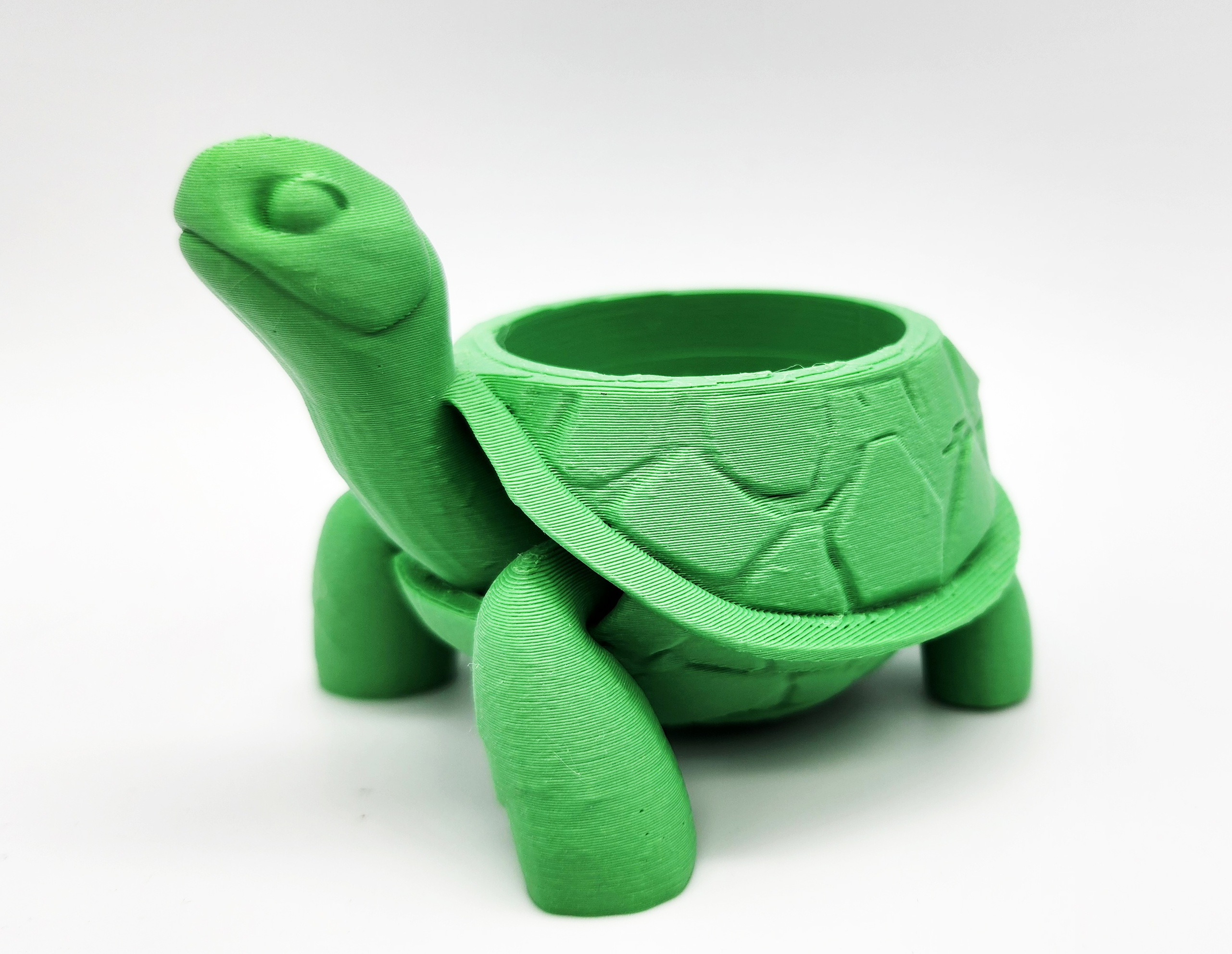Tortoise Succulent Planter 2