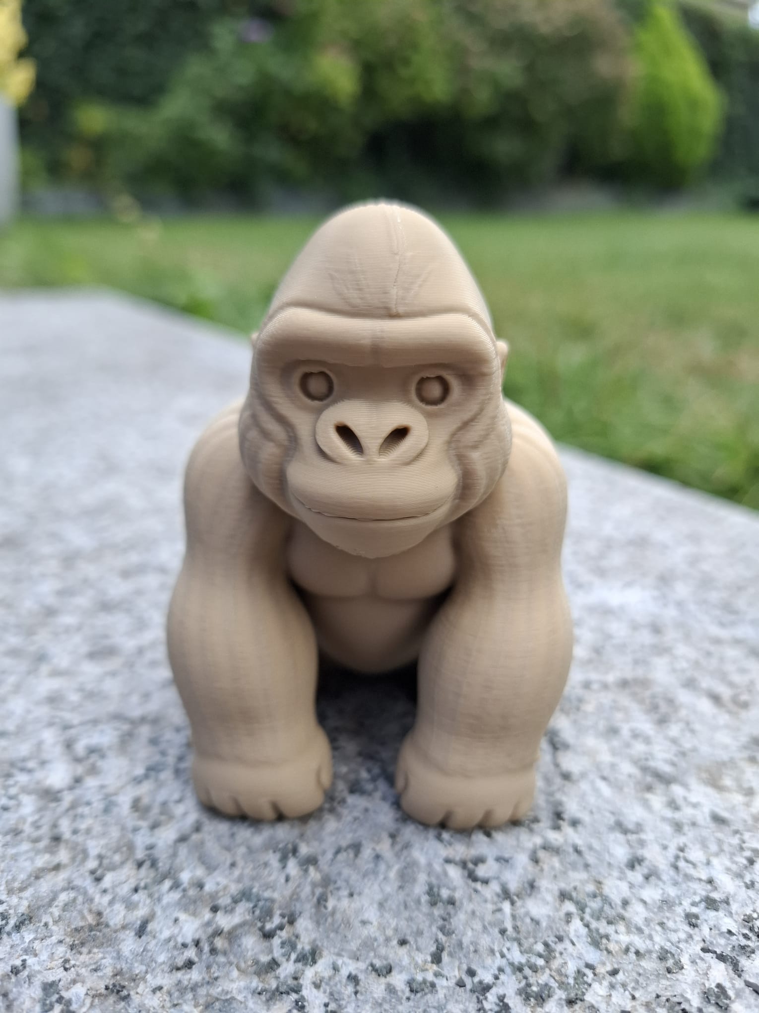 Chill Gorilla — your buff desk buddy