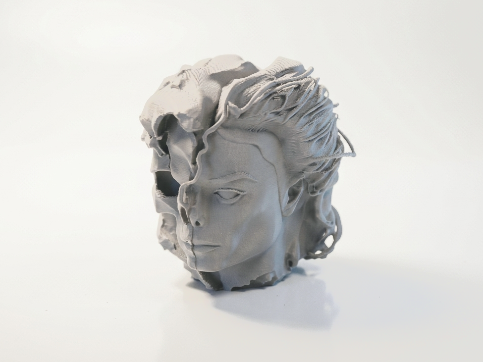 Half Skull Face Portrait Sculpture 3D Printable