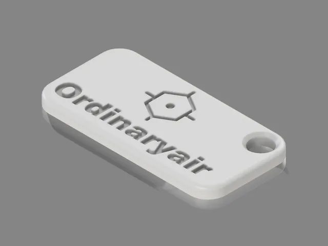 Ordinaryair Keychain