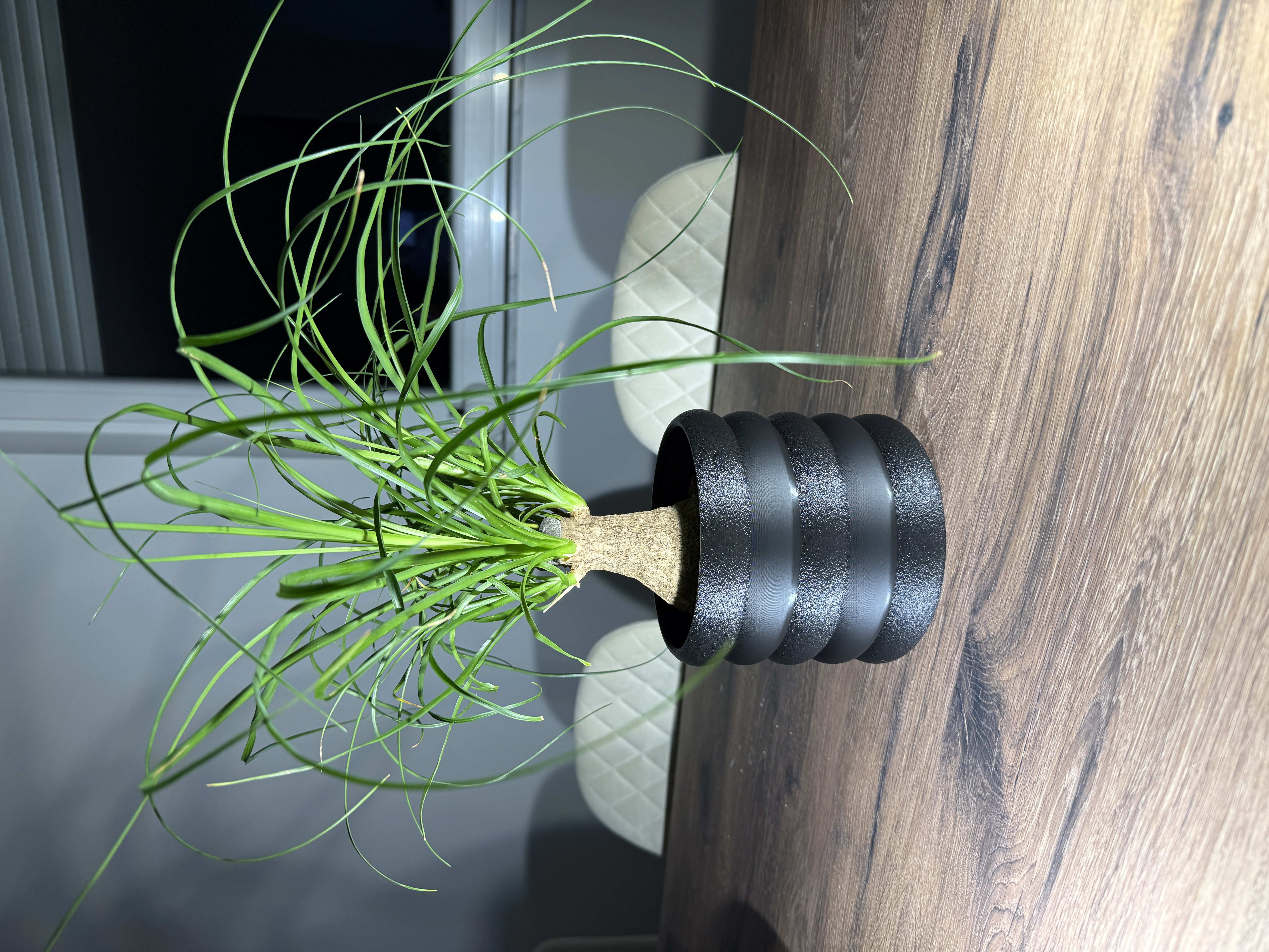 Modern minimalist Planter