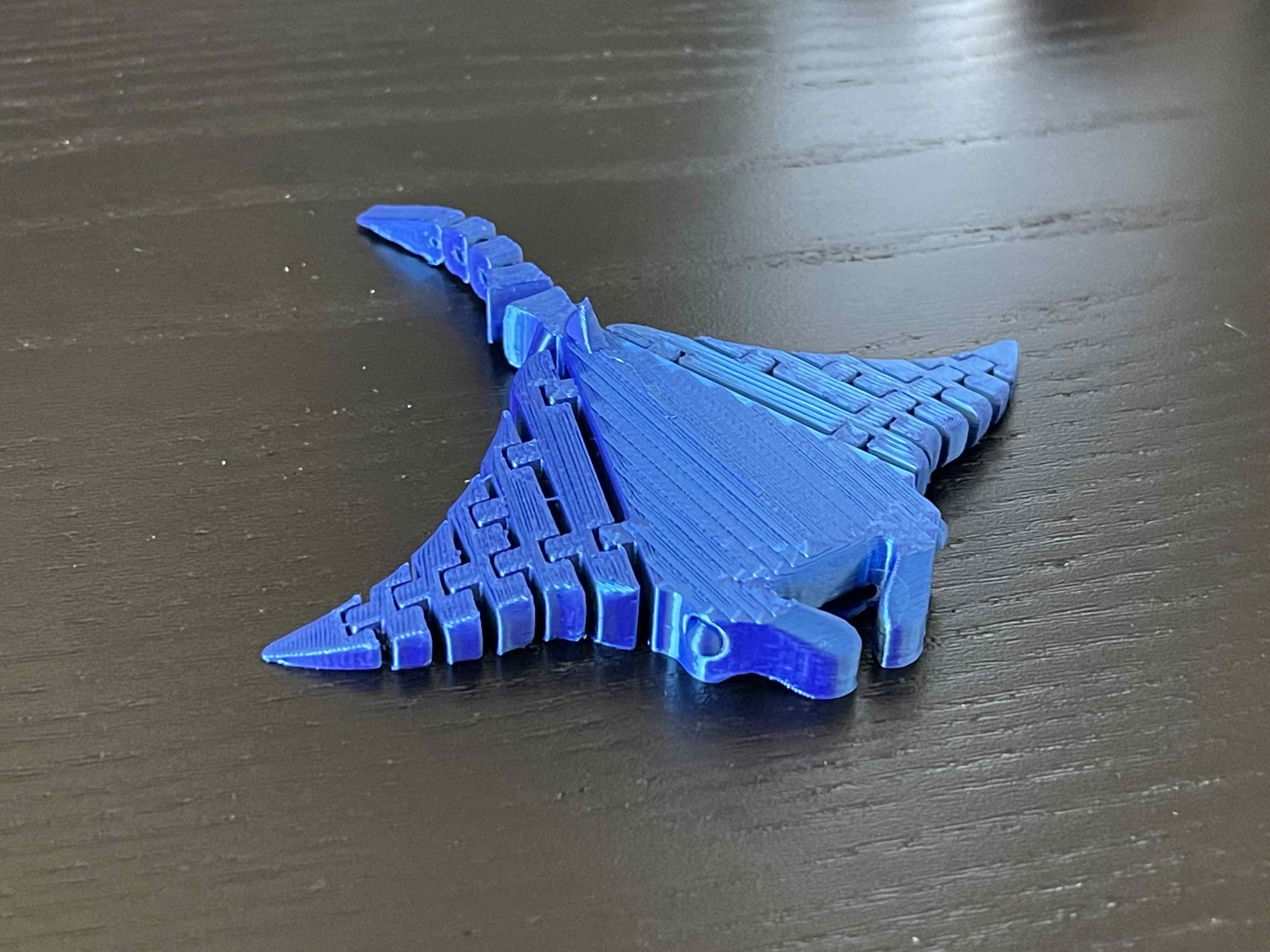 stingray — miniatura 2