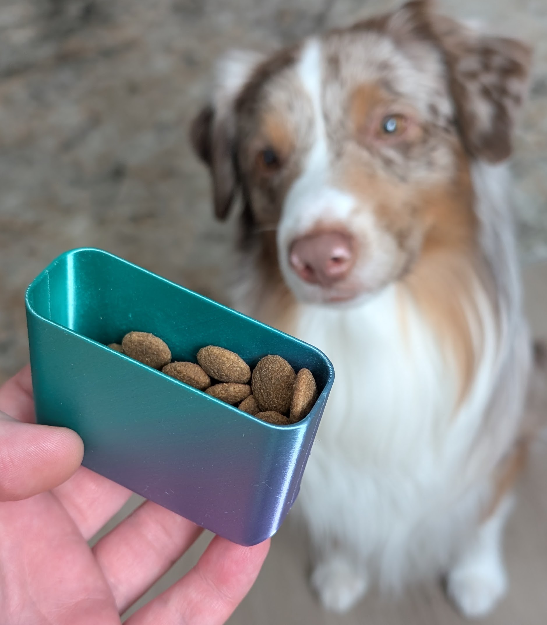 Dog Threats Container