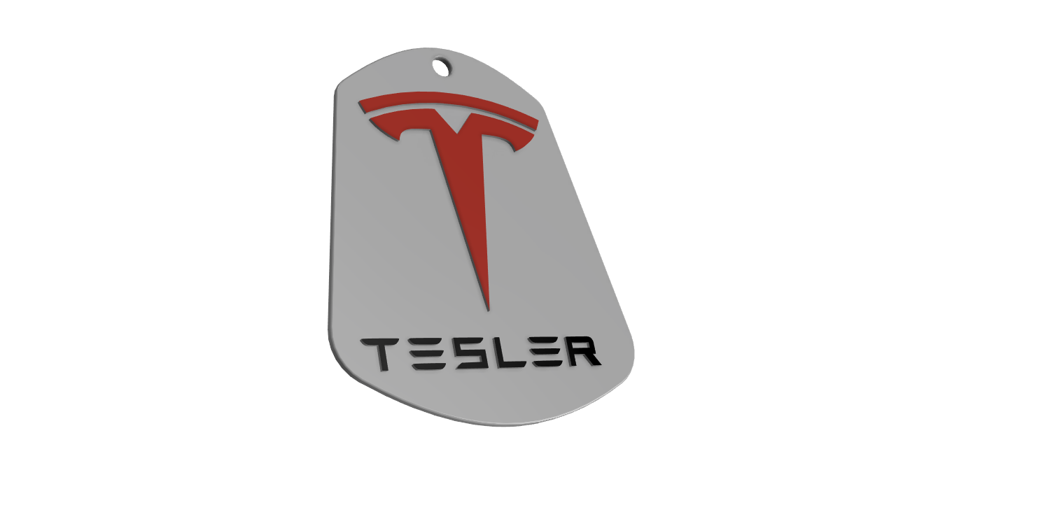 TESLER Keychain