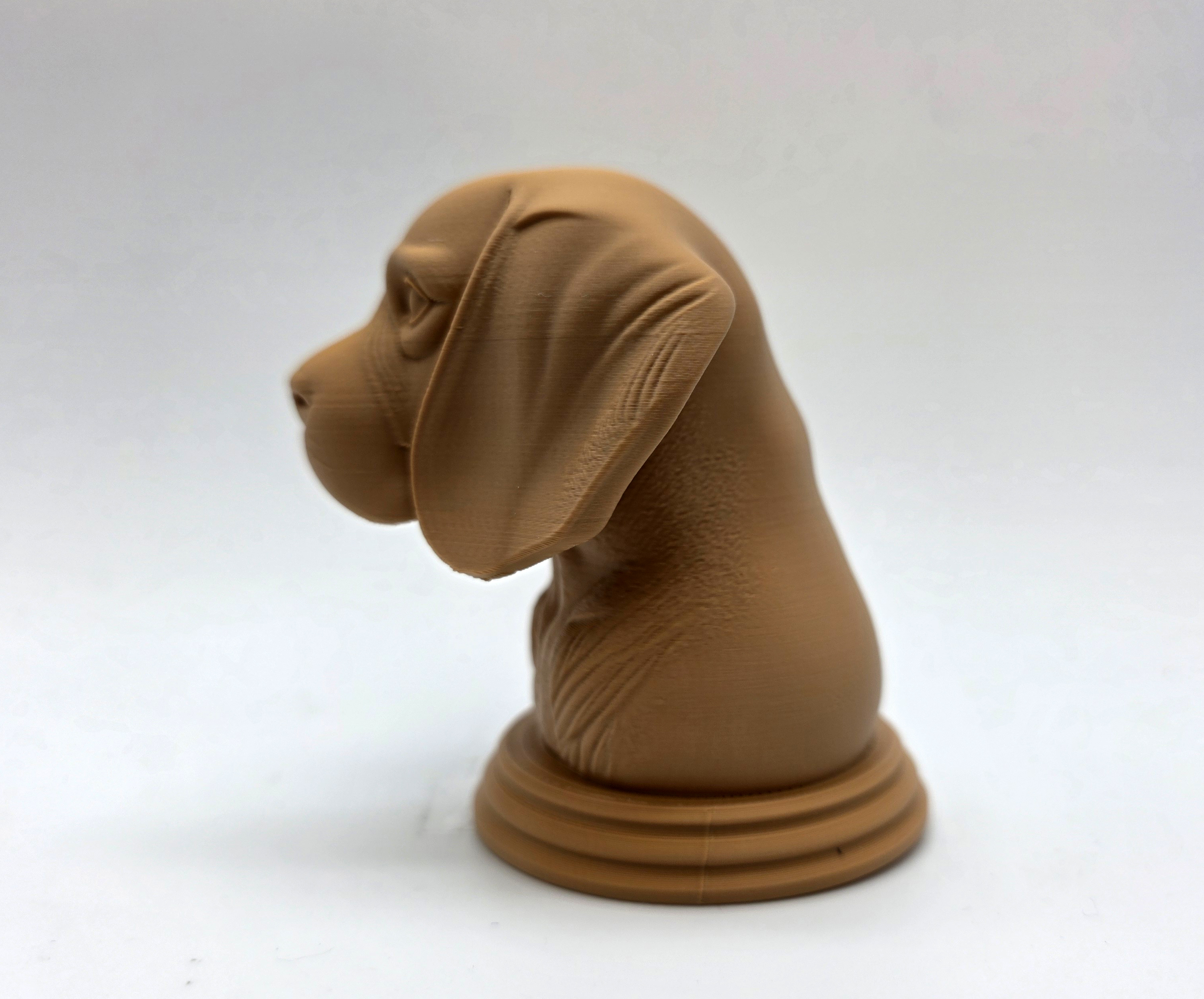 Miniatura 4 do modelo 3D Beagle Bust