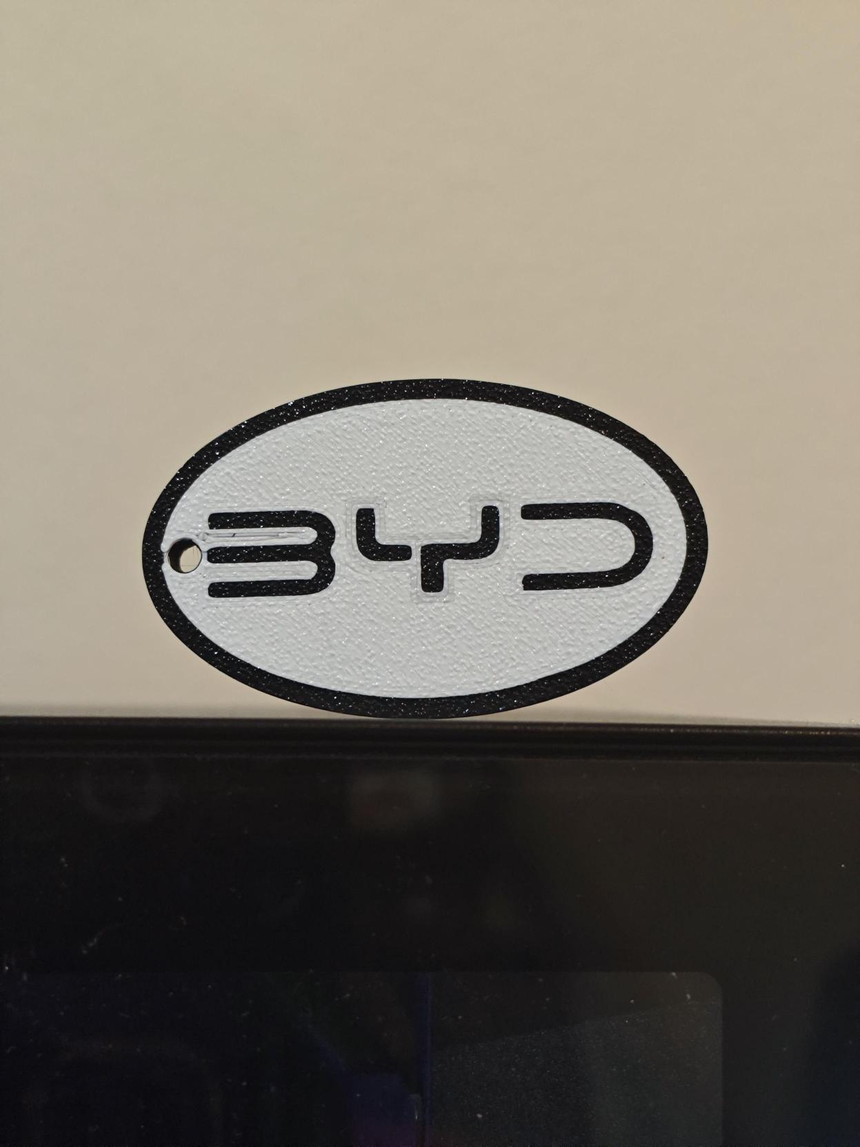 Miniatura 3 do modelo 3D BYD Auto Logo Keychain