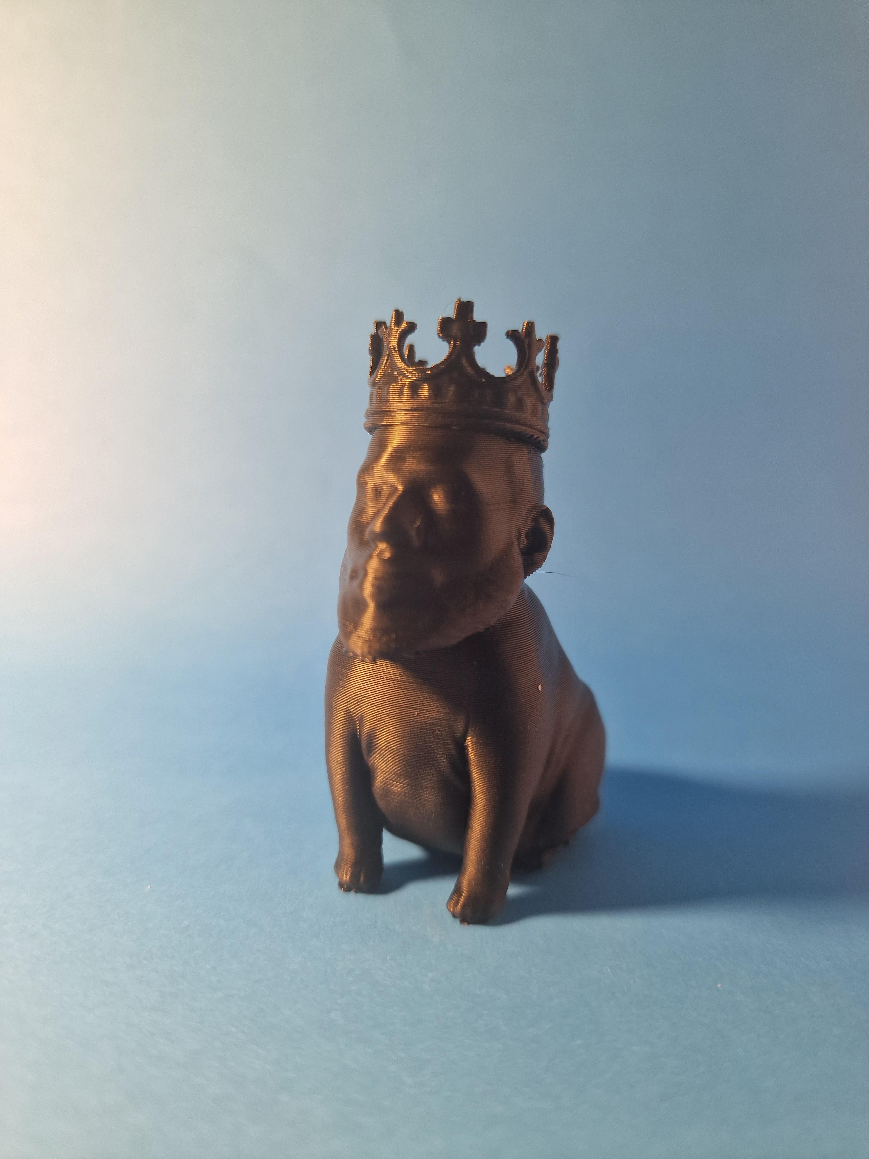 Cat Lebron