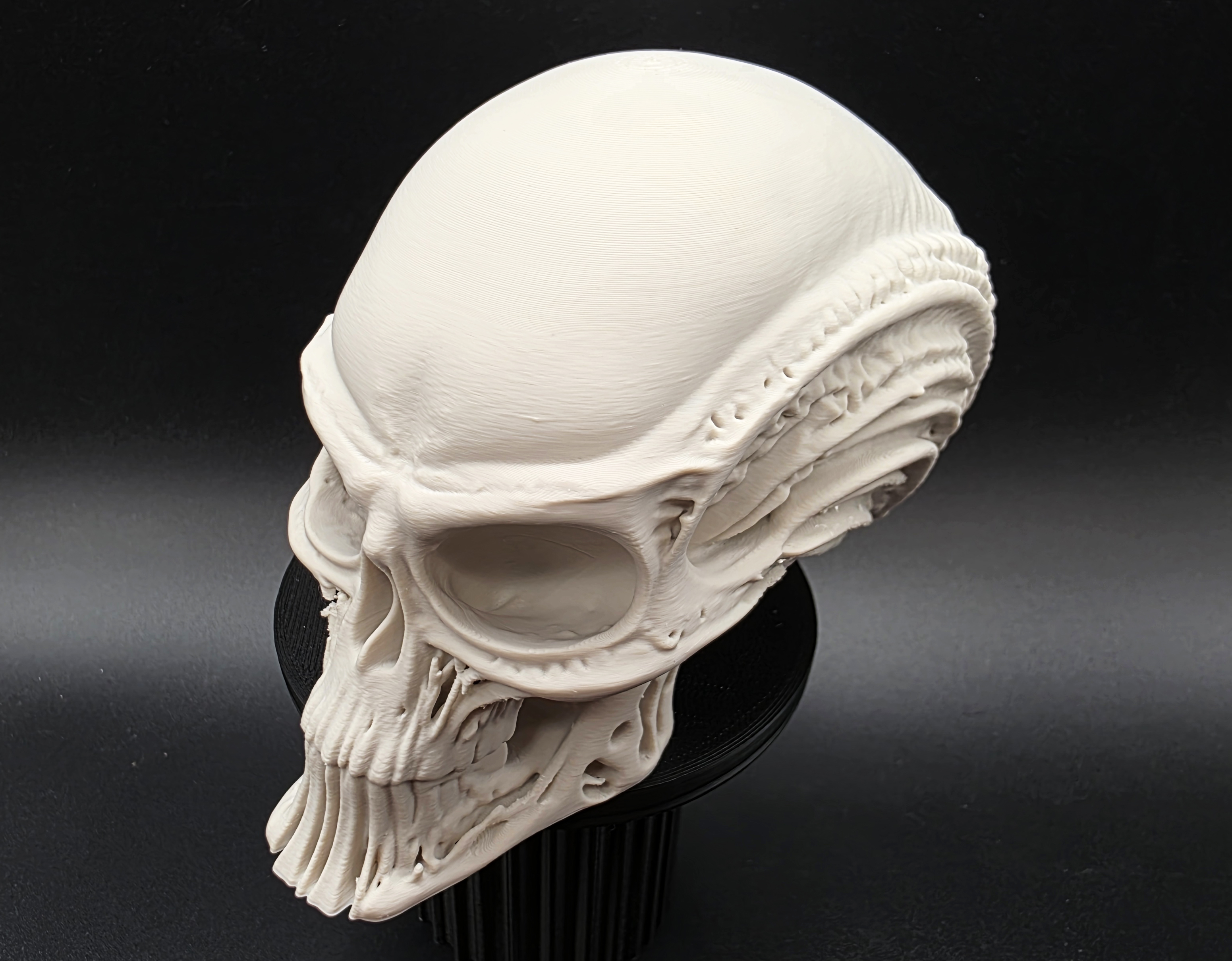 Miniatura 3 do modelo 3D Skeletal Alien Head