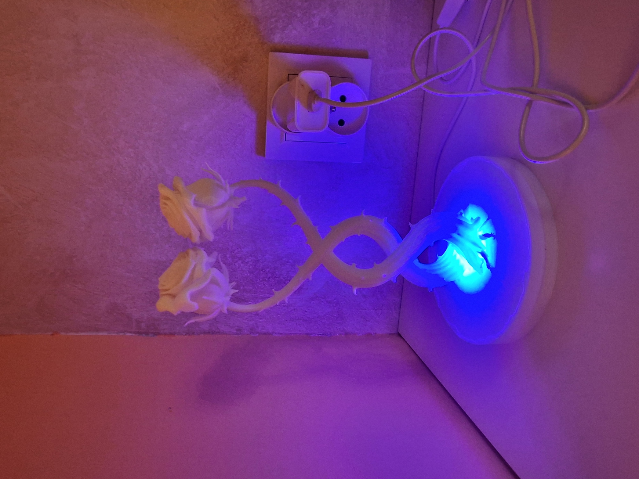 2 Intertwined Roses – Lamp