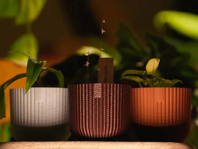 The Boho Pot a planter inspired by the Elho Vibes Fold