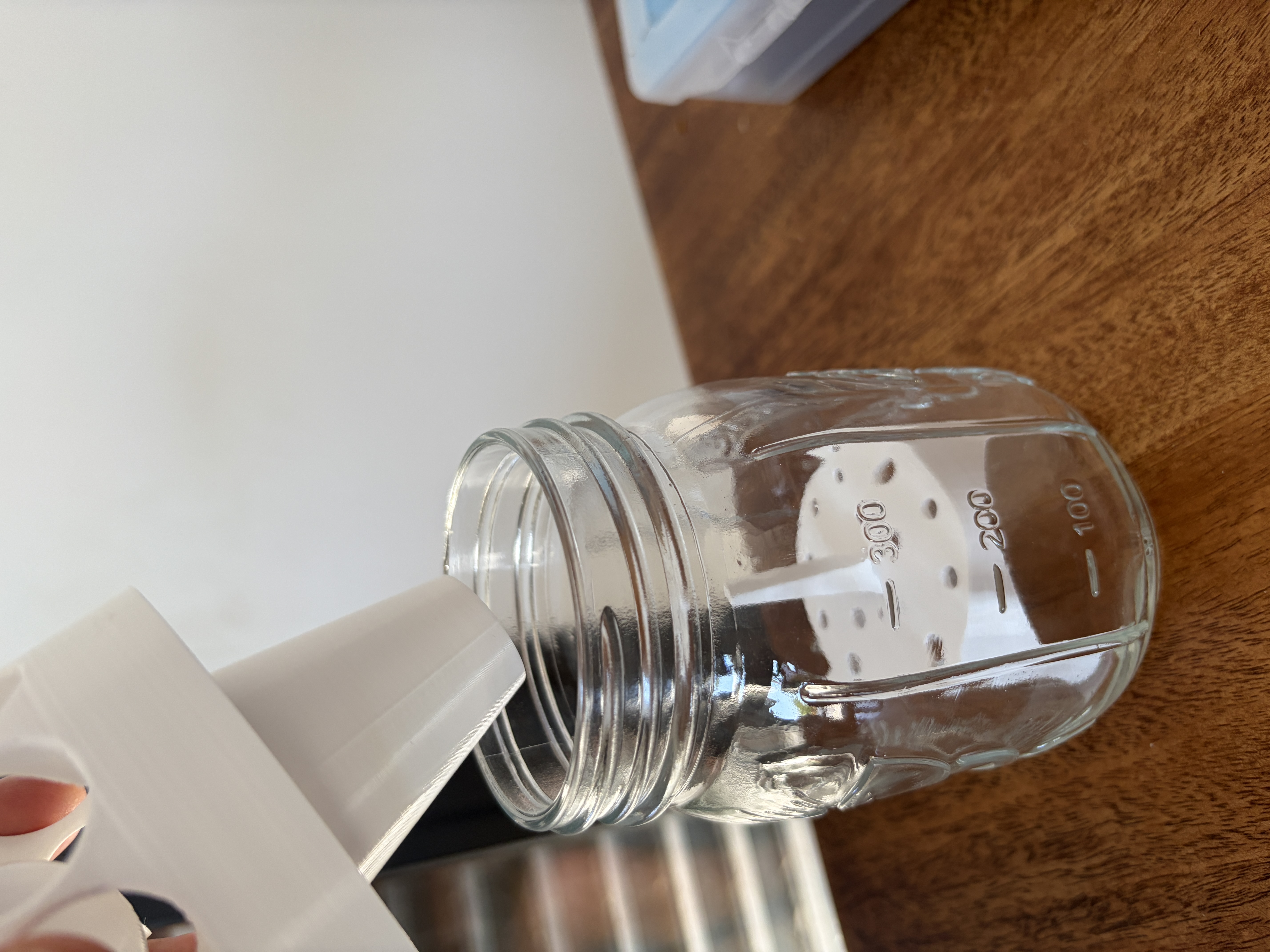 Mason Jar Wasp Trap Bait Stand