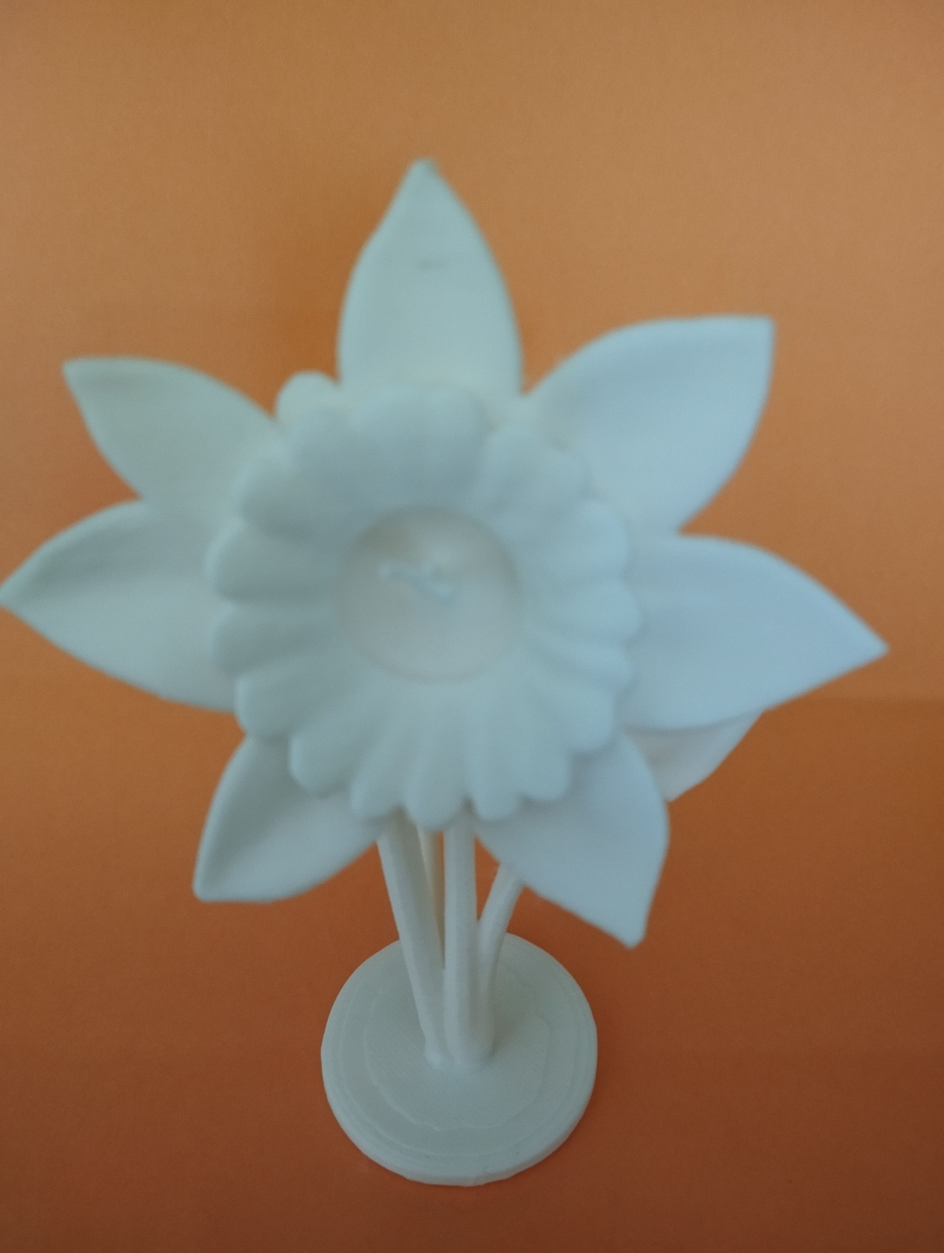 Easter Daffodil
