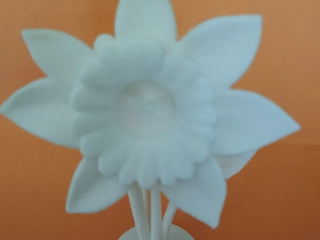 Easter Daffodil
