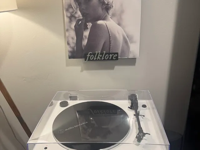 Taylor Swift Vinyl Record Display Shelf