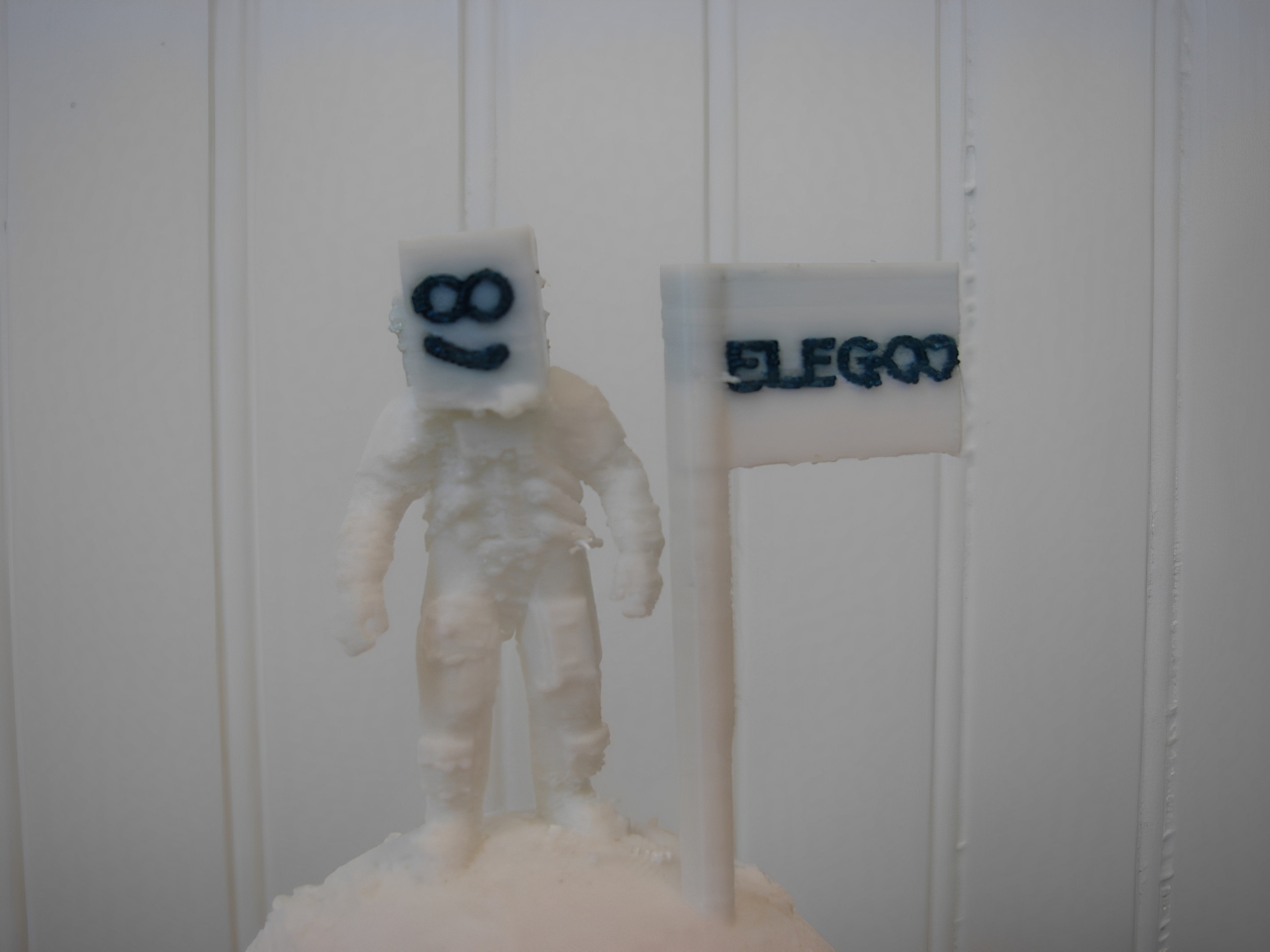 10 For Elegoods Contest Model — miniatura 2