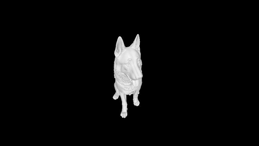 German Shepherd 1