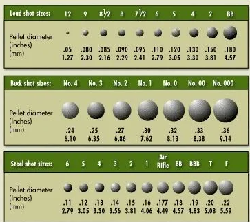 Lead Steel and Buck Shot Shotgun Pellet Sizes!