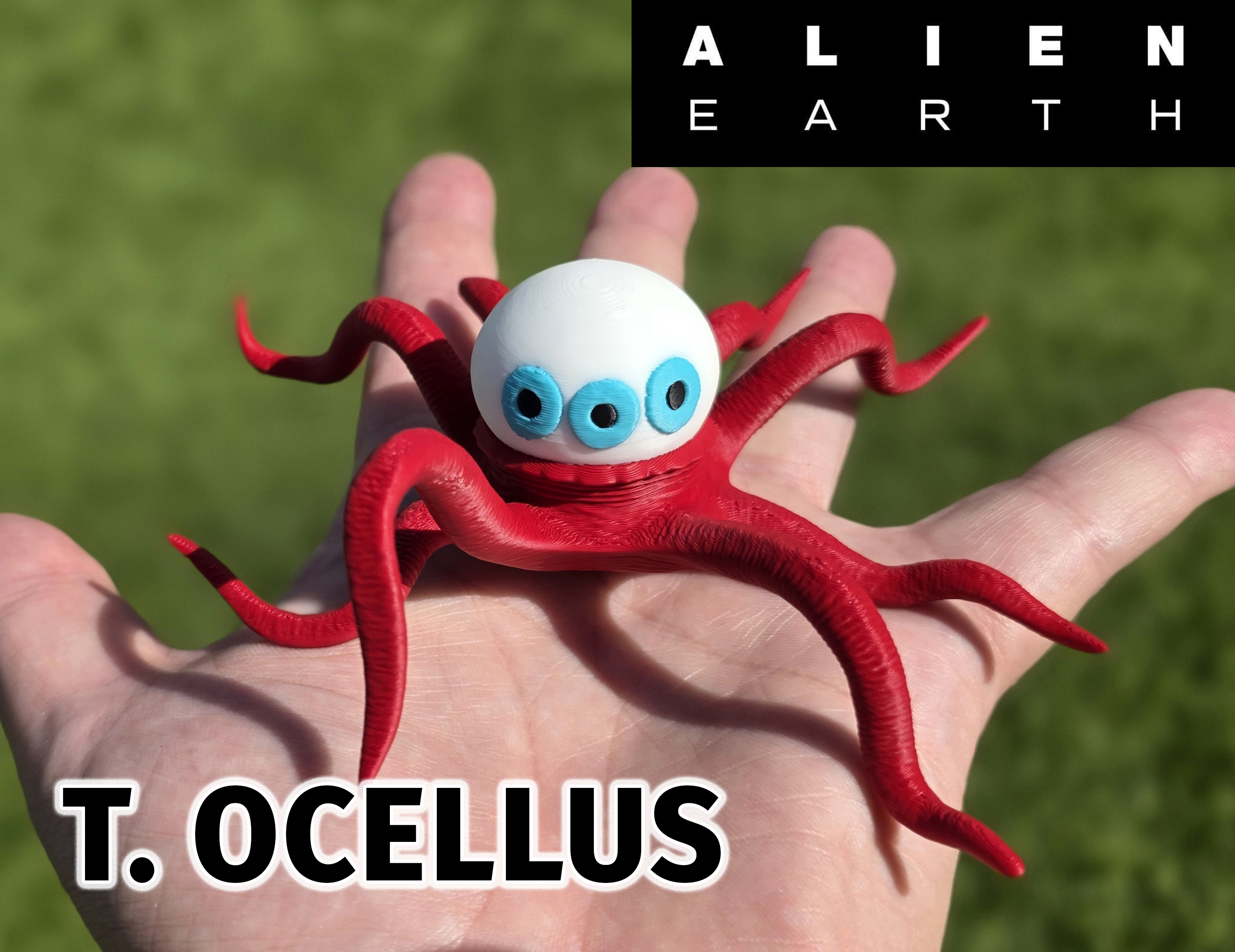 T. Ocellus - Alien Earth