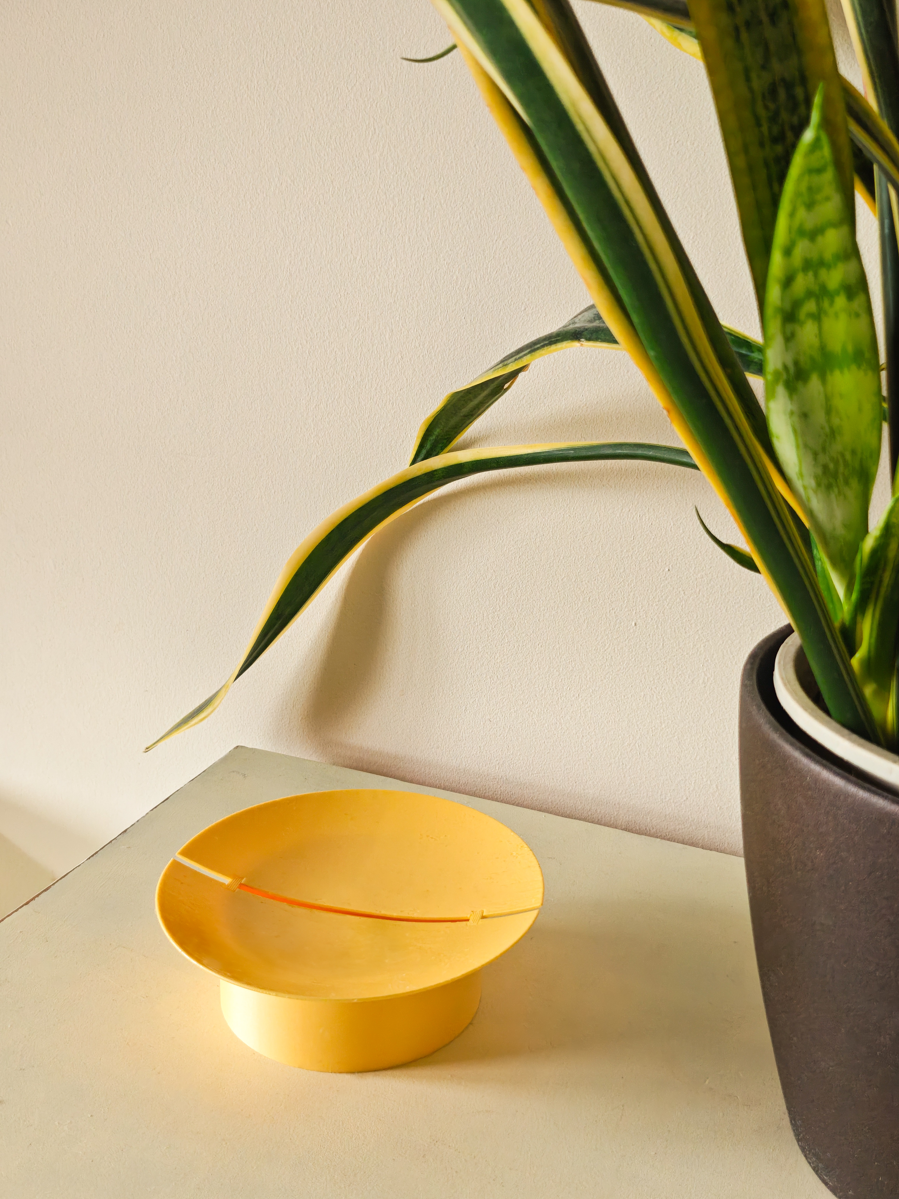 Sun tray