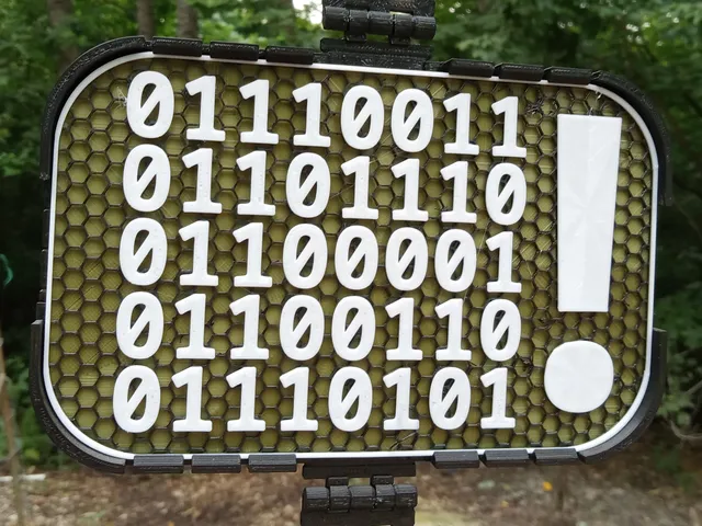Binary Snafu sign
