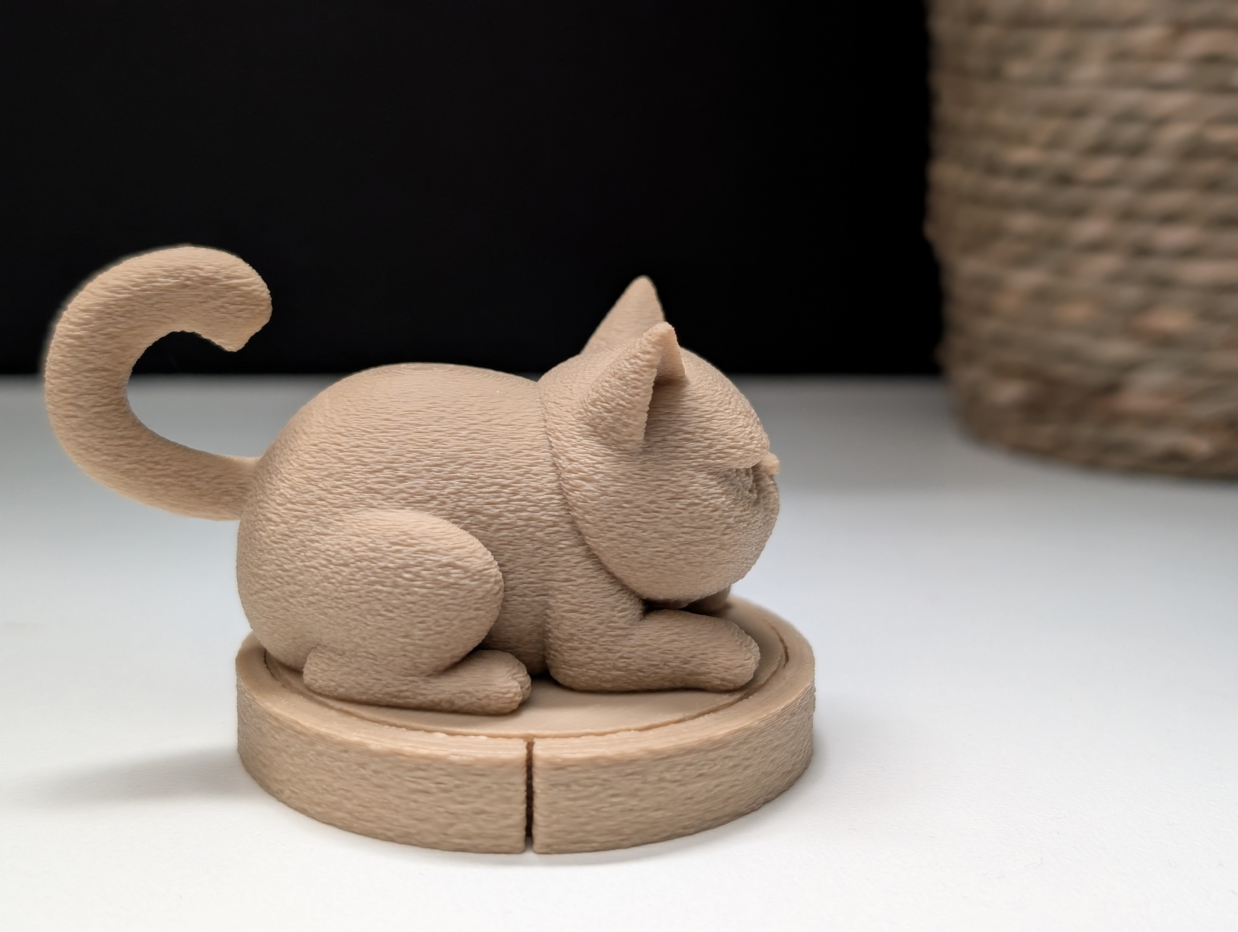 Miniatura 4 do modelo 3D Grumpy Cat on a Roomba