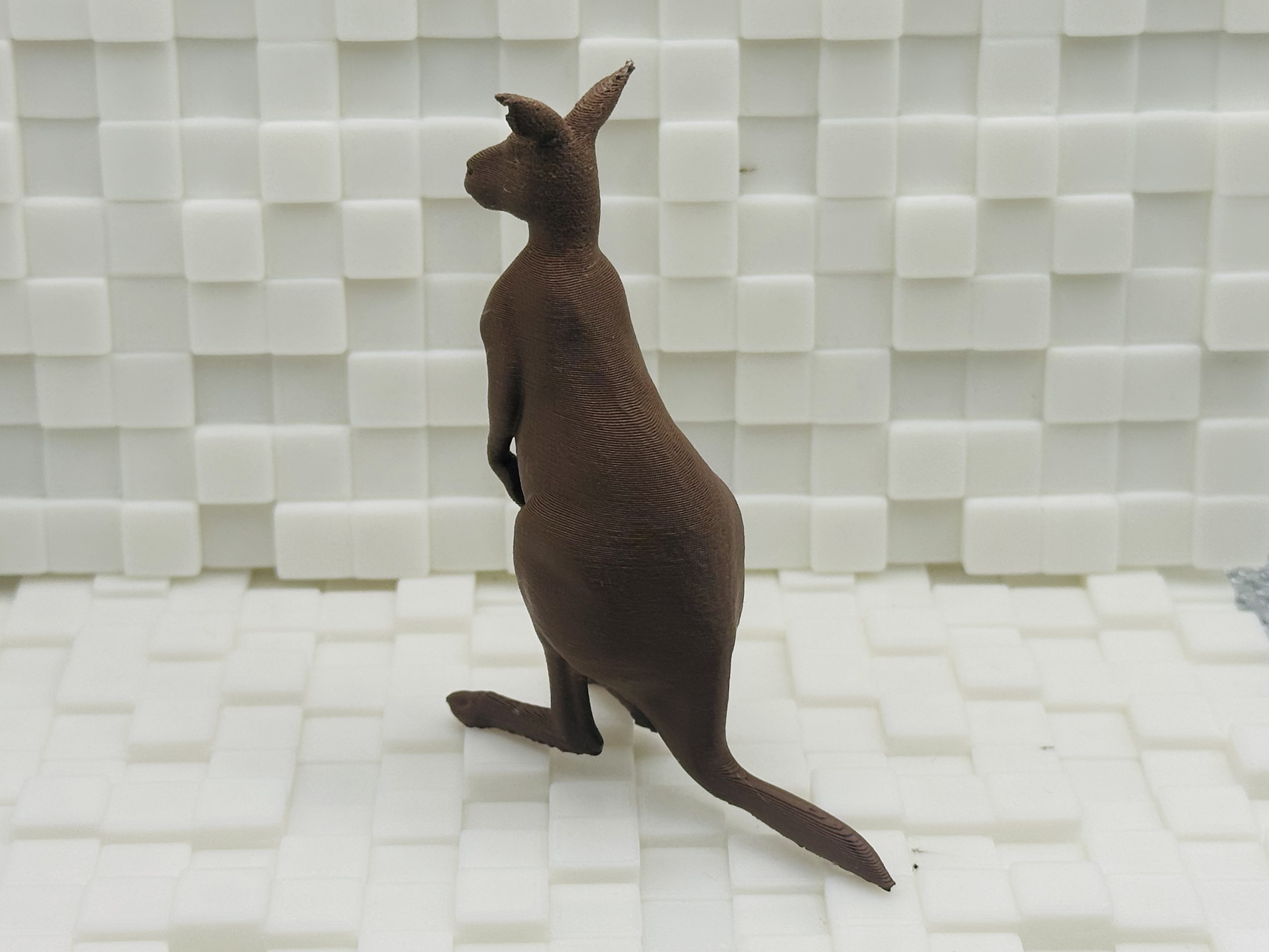 Miniatura 3 do modelo 3D Kangaroo