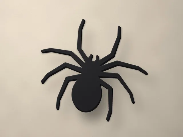 Wall Spider