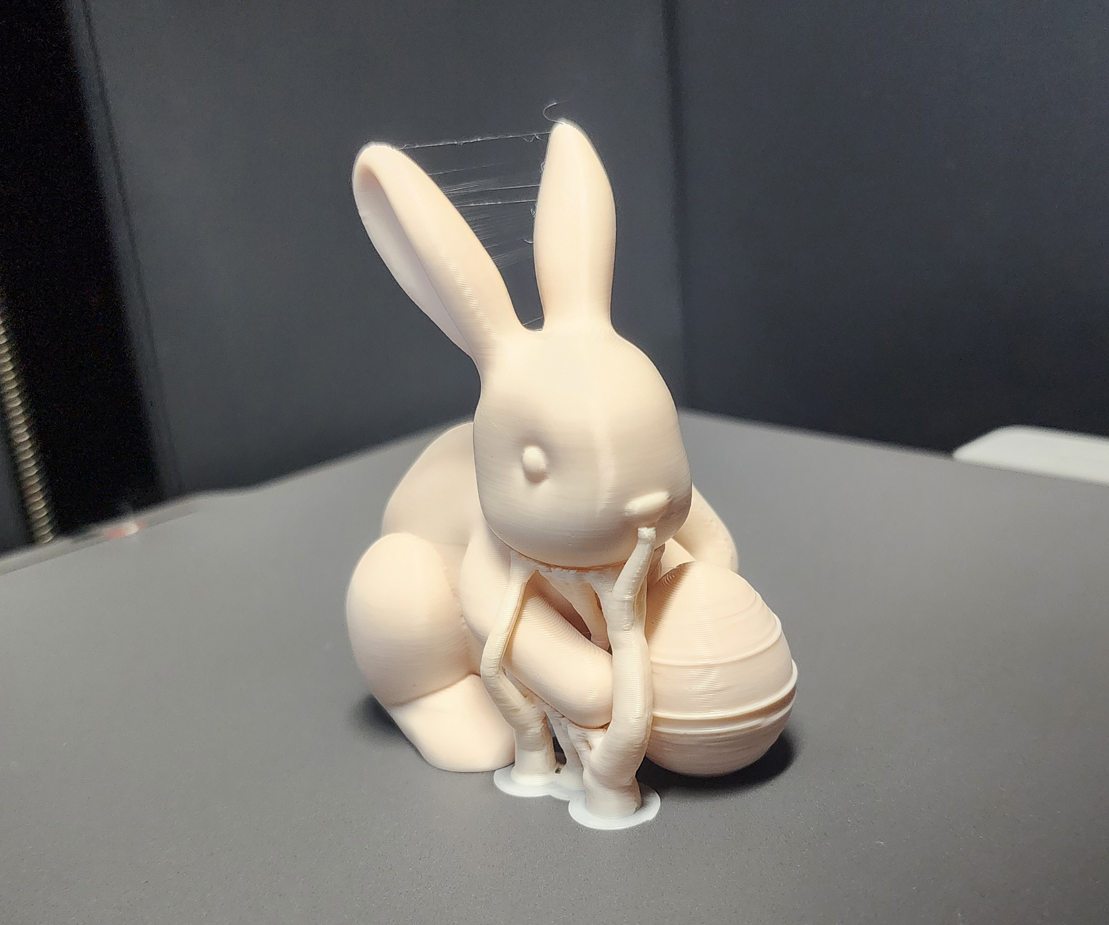Miniatura 6 do modelo 3D Bunny with Easter Egg