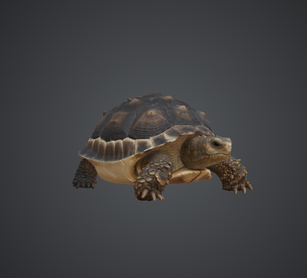 Realistic Tortoise Miniature – Detailed Wildlife Animal Model