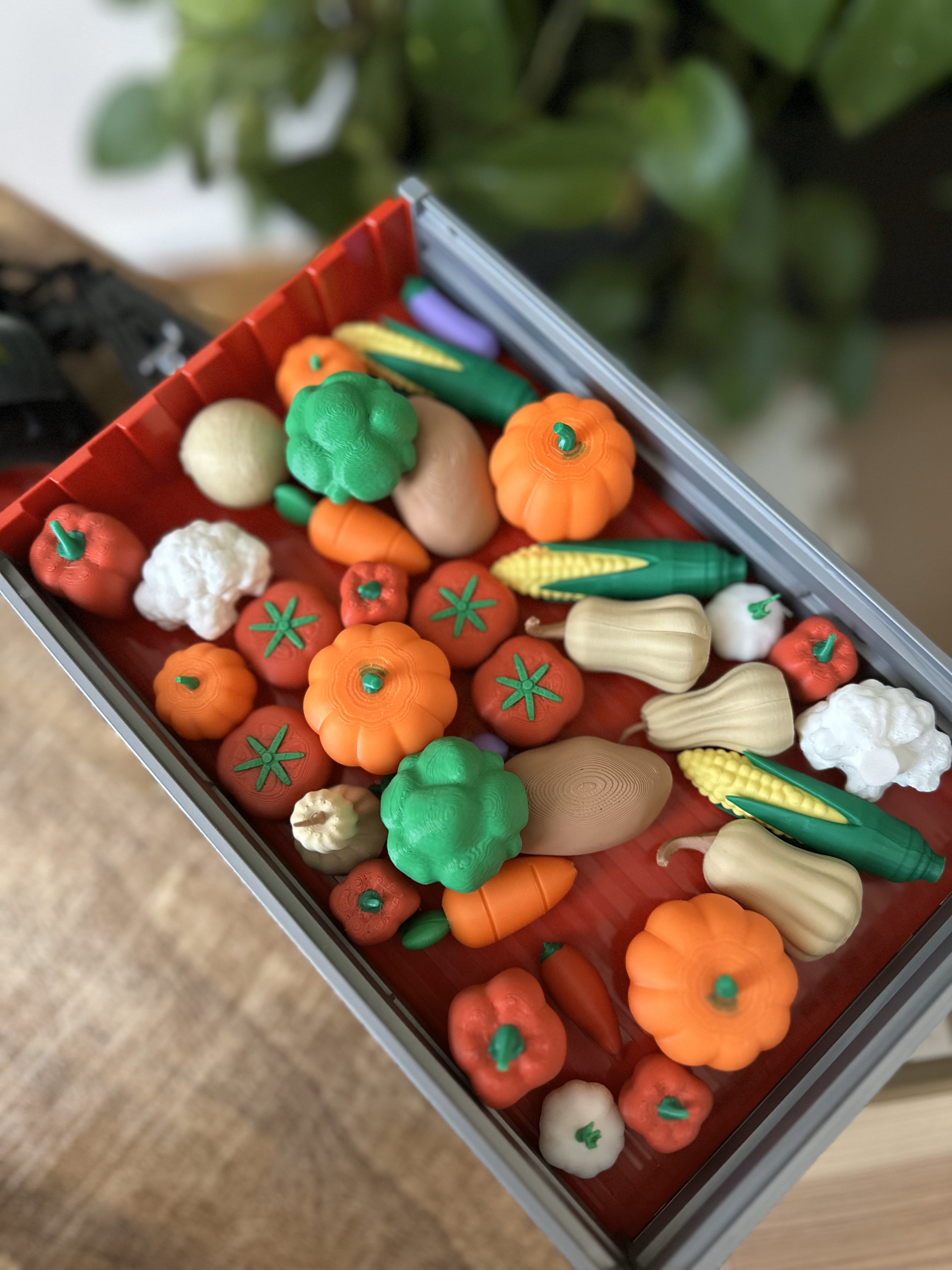 Vegetable garden