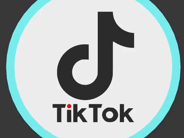 Porta Copos TikTok