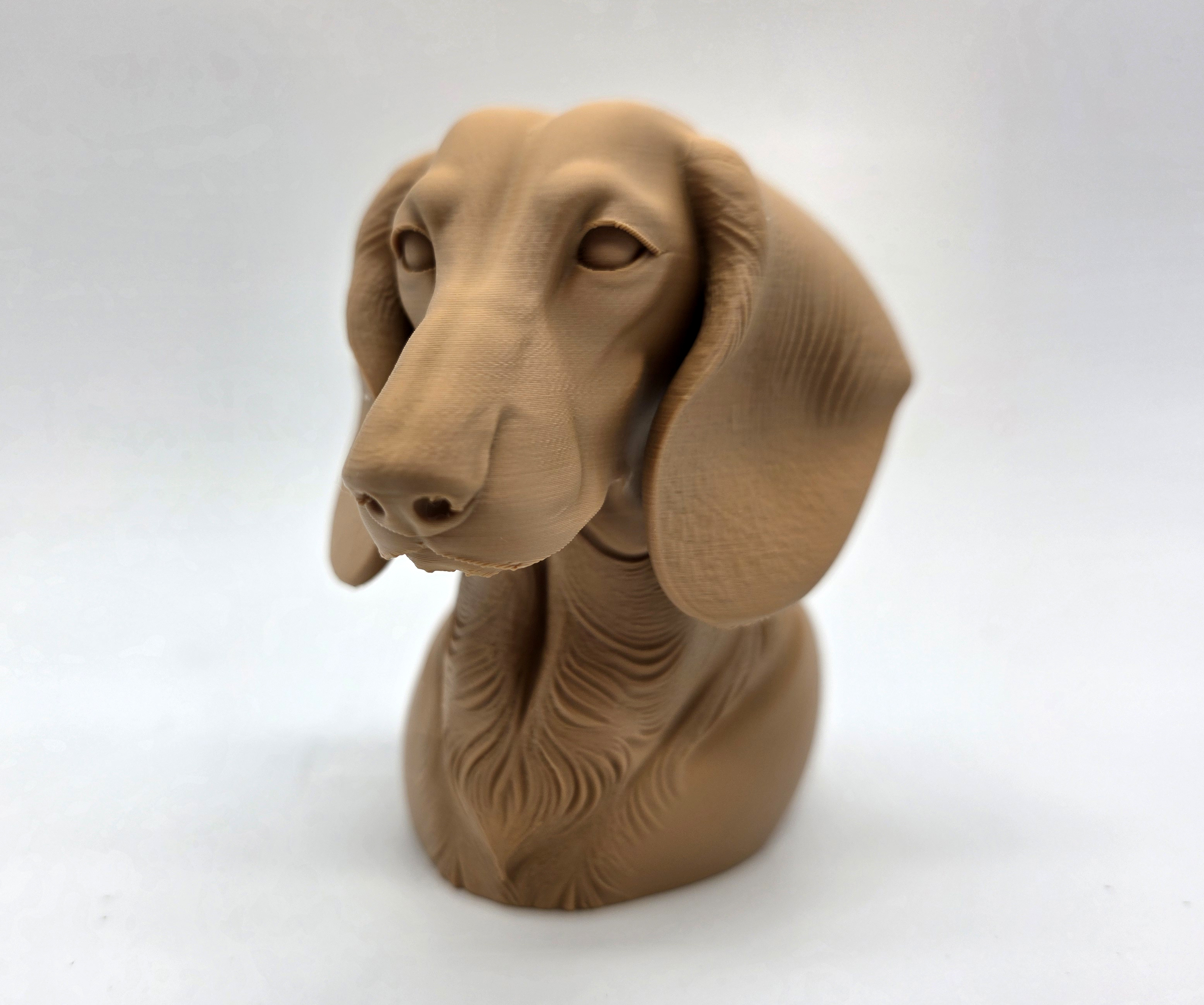 Dachshund Bust — miniatura 7