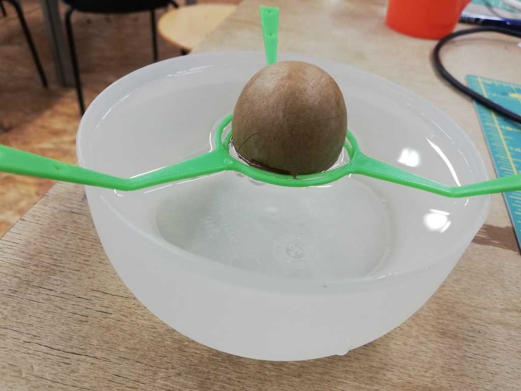 Avocado-pit clip — miniatura 5